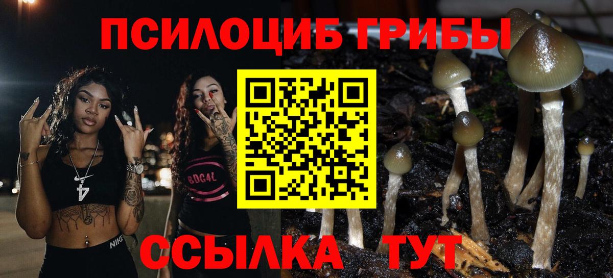 Чебоксары  Псилоцибиновые грибы Psilocybine cubensis  продажа наркотиков  Вход с VPN 